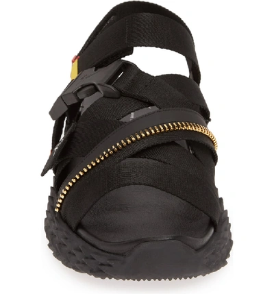 Shop Giuseppe Zanotti Web Sandal In Black