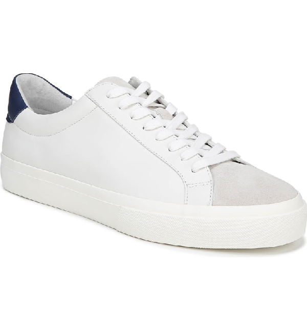 vince white sneakers