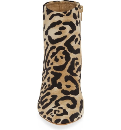 Shop Band Of Gypsies Andrea Bootie In Natural/ Black Leopard Print