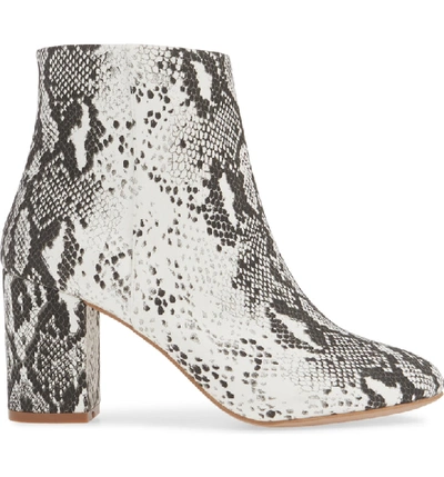 Shop Band Of Gypsies Andrea Bootie In White/ Black Snake Print