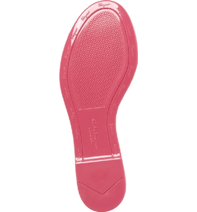 Shop Ferragamo Cirella Bow Slide Sandal In Bubblegum