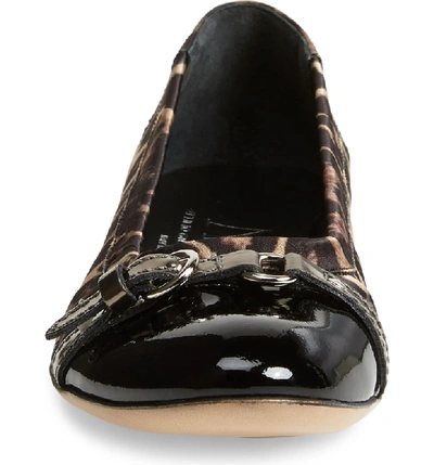 Shop Agl Attilio Giusti Leombruni Cap Toe Ballet Flat In Leopard