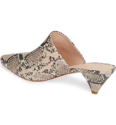 Shop Kate Spade Ryan Mule In Pale Vellum Print Leather