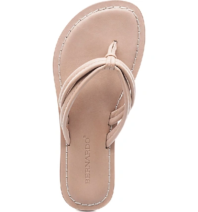 Shop Bernardo Miami Sandal In Blush Leather