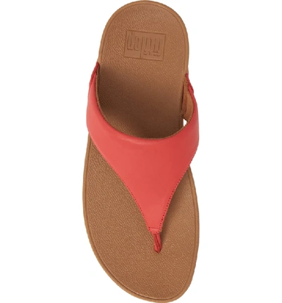 Shop Fitflop Lulu Flip Flop In Passion Red Leather