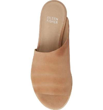 Shop Eileen Fisher Rue Slide Sandal In Latte Tumbled Nubuck Leather