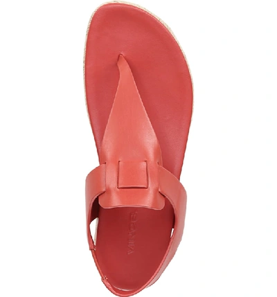 Shop Vince Flint Espadrille Thong Sandal In Adobe Red