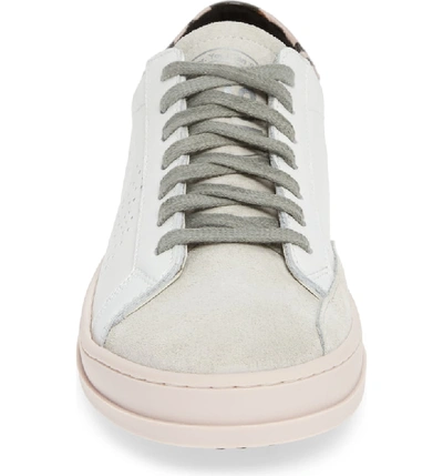 Shop P448 John Sneaker In White/ Pink
