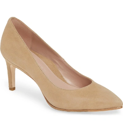 Shop Taryn Rose Collection Gabriela Pointy Toe Pump In Cappuccino Suede