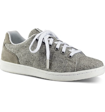 Shop Ed Ellen Degeneres 'chapala' Sneaker In Steel Grey Flannel Fabric