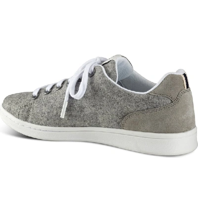 Shop Ed Ellen Degeneres 'chapala' Sneaker In Steel Grey Flannel Fabric