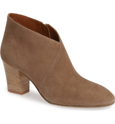 Shop Aquatalia Emiliana Surplice Bootie In Taupe Suede