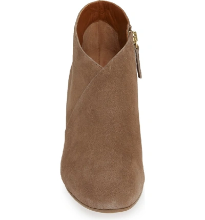 Shop Aquatalia Emiliana Surplice Bootie In Taupe Suede