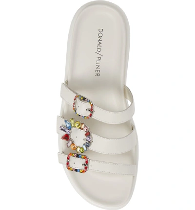 Shop Donald Pliner Claud Slide Sandal In Off White Nappa Leather