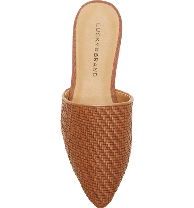 Shop Lucky Brand Bradell Pointy Toe Mule In Umber Leather