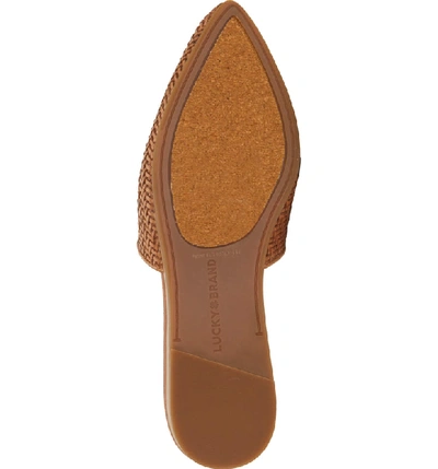 Shop Lucky Brand Bradell Pointy Toe Mule In Umber Leather