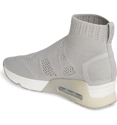 Shop Ash Knit Sneaker Bootie In Cement