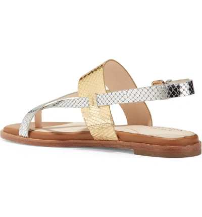 Shop Cole Haan Anica Sandal In Gold/ Silver Snake Leather