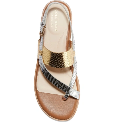 Shop Cole Haan Anica Sandal In Gold/ Silver Snake Leather