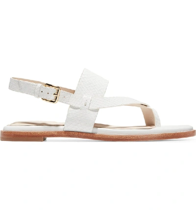 Shop Cole Haan Anica Sandal In Optic White Snake Leather