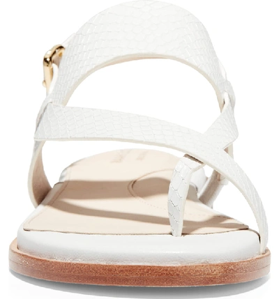 Shop Cole Haan Anica Sandal In Optic White Snake Leather