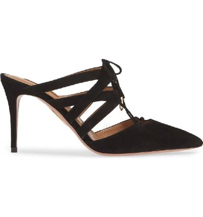 Shop Aquazzura Belgravia Mule In Black