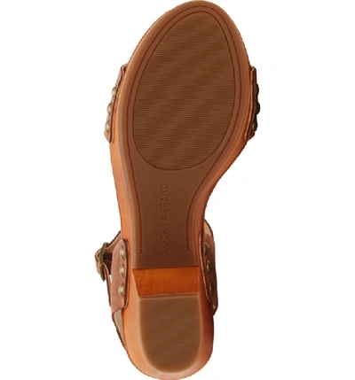 Shop Lucky Brand Trisa Platform Sandal In Umber Leather