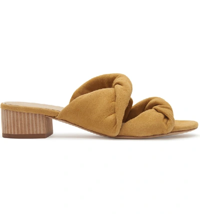 Shop Etienne Aigner Bria Slide Sandal In Honey Suede