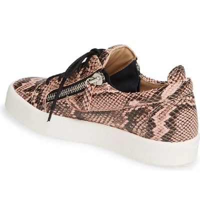 Shop Giuseppe Zanotti May London Low Top Sneaker In Pink Snakeprint