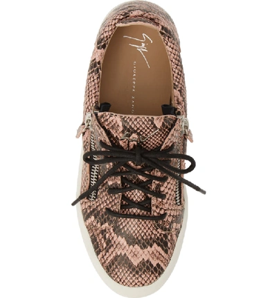 Shop Giuseppe Zanotti May London Low Top Sneaker In Pink Snakeprint