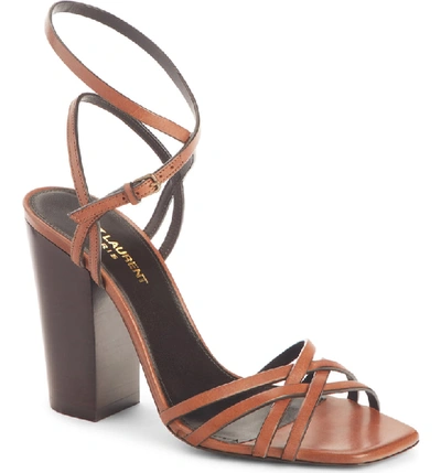 Shop Saint Laurent Oak Crisscross Sandal In Brown Leather