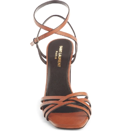 Shop Saint Laurent Oak Crisscross Sandal In Brown Leather