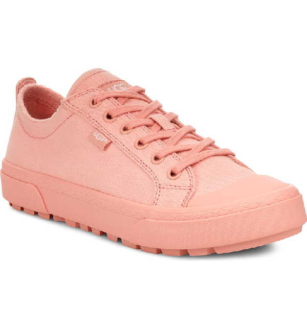 ugg aries