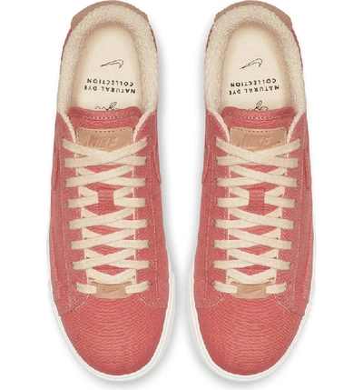Shop Nike Blazer Low Lx Sneaker In Red Stardust/ Red Stardust
