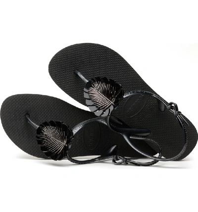 Shop Havaianas Freedom Leaf Pin Sandal In Black
