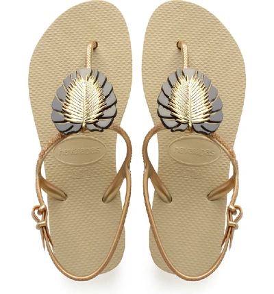 Havaianas Freedom Metal Pin Sandals In Sand Gray | ModeSens