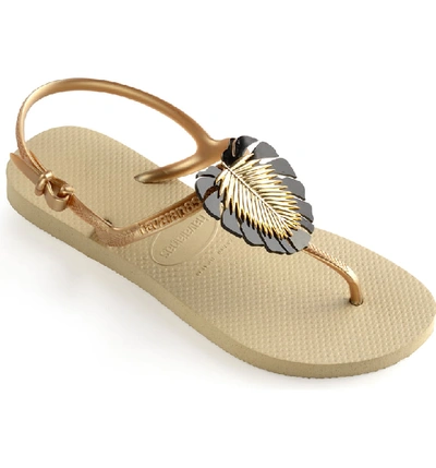 Shop Havaianas Freedom Leaf Pin Sandal In Sand Grey