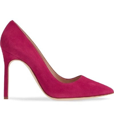 Shop Manolo Blahnik 'bb' Pointy Toe Pump In Fuschia Suede