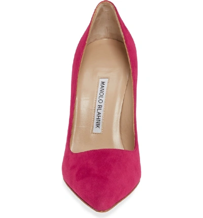 Shop Manolo Blahnik 'bb' Pointy Toe Pump In Fuschia Suede