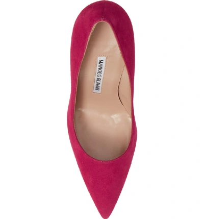 Shop Manolo Blahnik 'bb' Pointy Toe Pump In Fuschia Suede