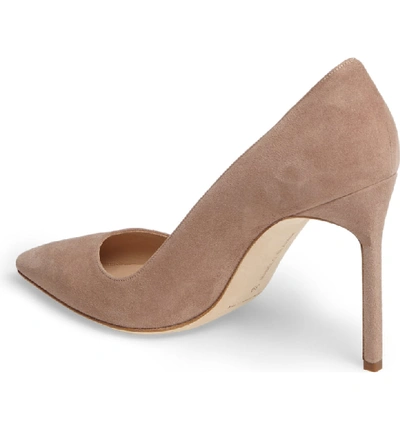 Shop Manolo Blahnik 'bb' Pointy Toe Pump In Taupe Suede