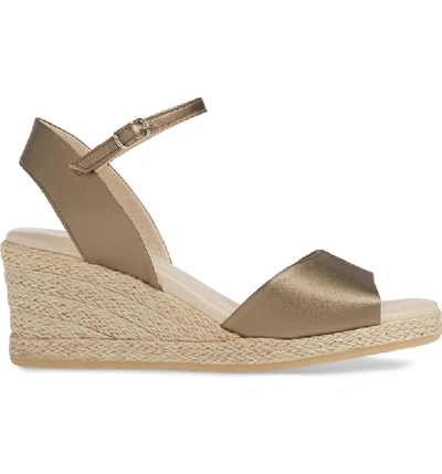 Shop Amalfi By Rangoni Leonardo Espadrille Wedge Sandal In Pewter Leather