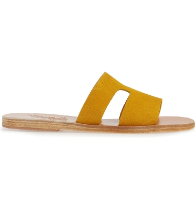 Shop Ancient Greek Sandals Apteros Slide Sandal In Costa Yellow