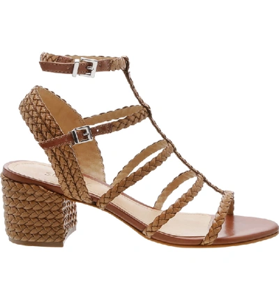 Shop Schutz Rosalia Block Heel Sandal In Deep Nude Leather