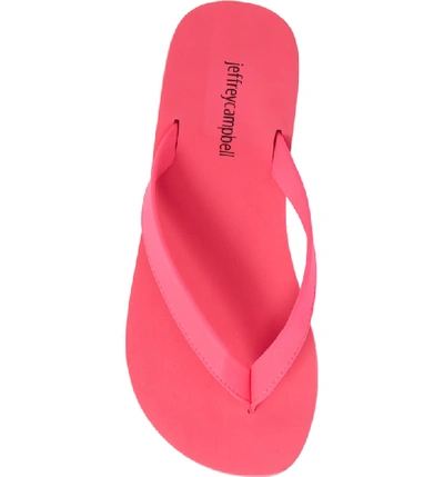 Shop Jeffrey Campbell Surf Flip Flop In Fuchsia Neon