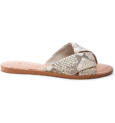 Shop 1.state Travor Slide Sandal In Roccia Beige Leather