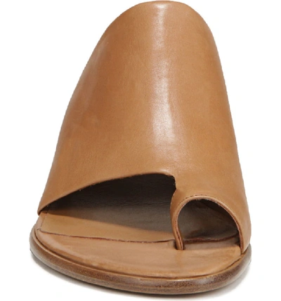 Shop Vince Darla Slide Sandal In Almond