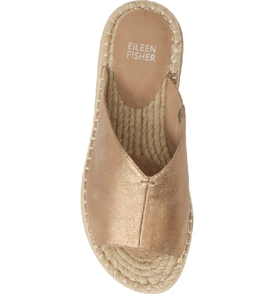 Shop Eileen Fisher Milly Espadrille Slide Sandal In Light Gold Metallic Suede