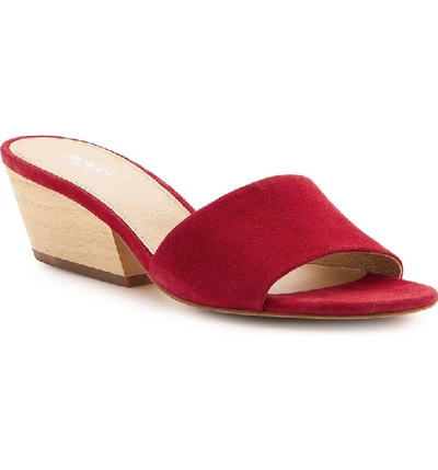 Shop Botkier Carlie Mule In Cherry Suede