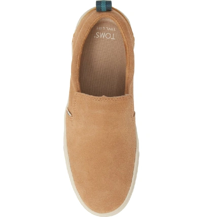 Shop Toms Trvl Lite Slip-on Sneaker In Honey Suede